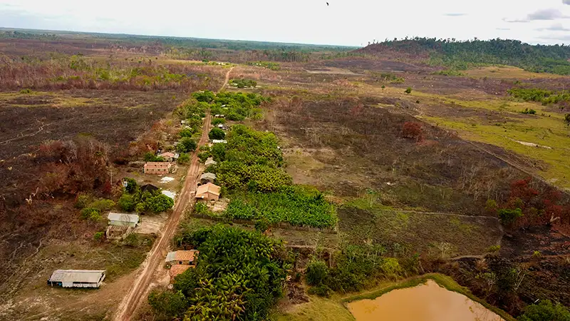 Destaque internacional, programa de carbono neutro celebra 1 ano com aumento de produtividade do agronegócio no Pará