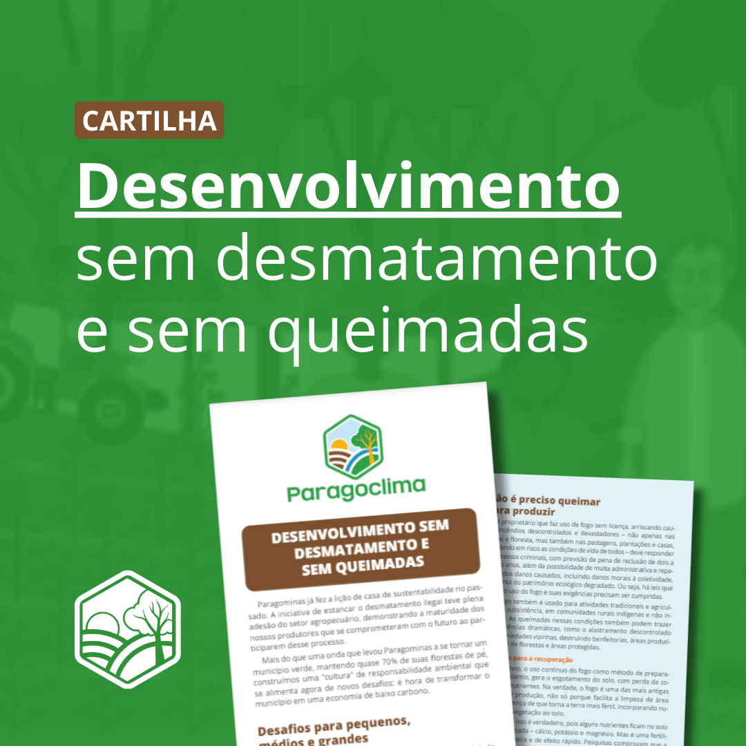 DESENVOLVIMENTO SEM DESMATAMENTO E SEM QUEIMADAS