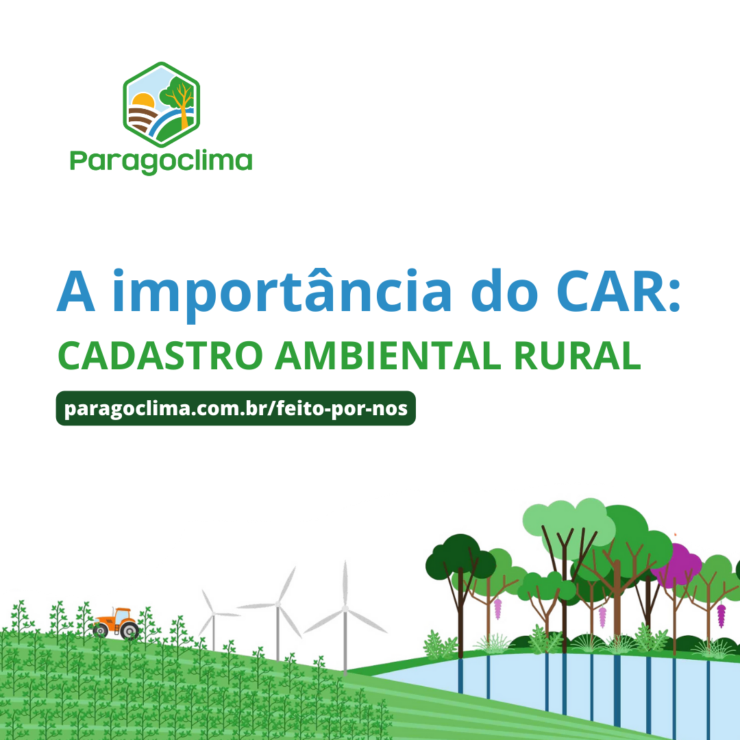 A importância do car (2024)