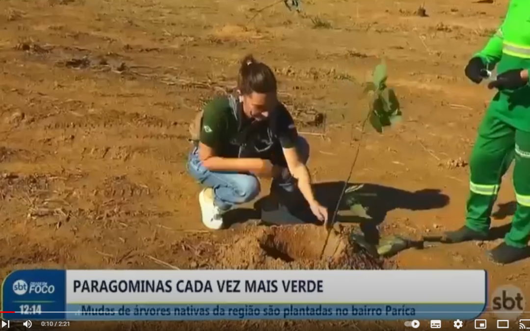 SBT: Paragoclima realiza plantio de mudas no bairro Paricá